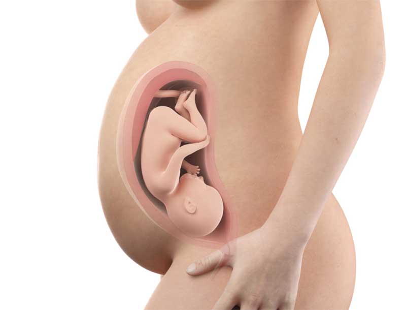Bệnh chàm có ảnh hưởng đến thai nhi không? – Cách điều trị
