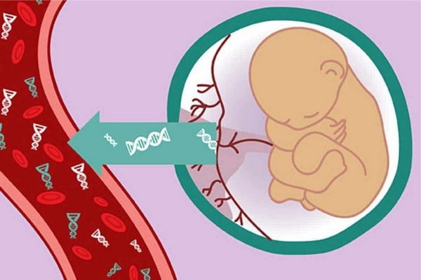 Mang thai mấy tuần có thể làm xét nghiệm NIPT?